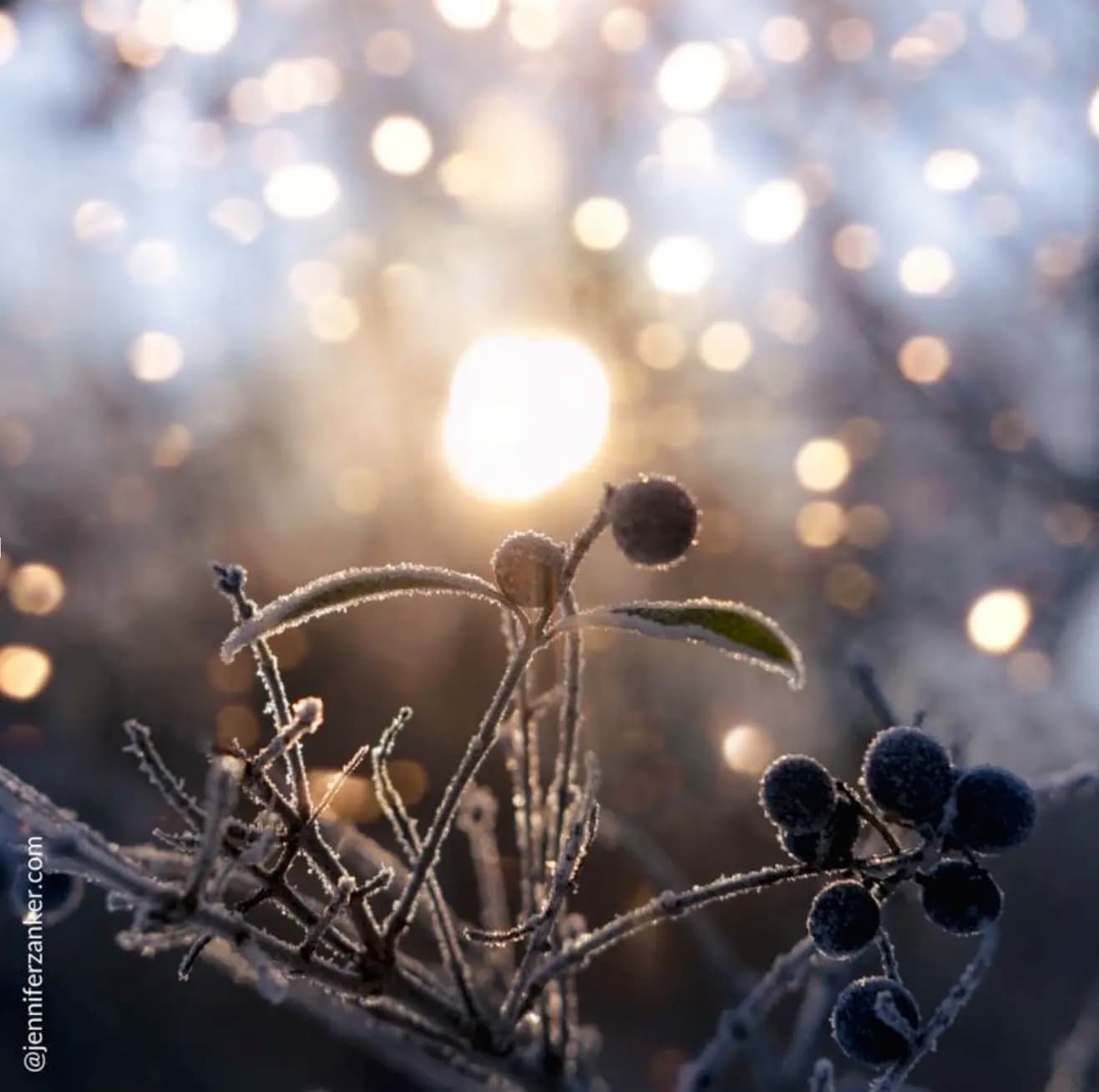 Rauhnächtekurs - Die Magie der Rauhnächte! 3