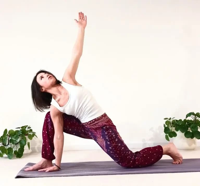 Yoga Vidya Zentrum Waldshut Tiengen 2