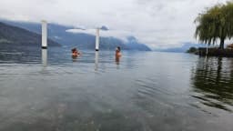 Ice Bath Course - harness the power of cold