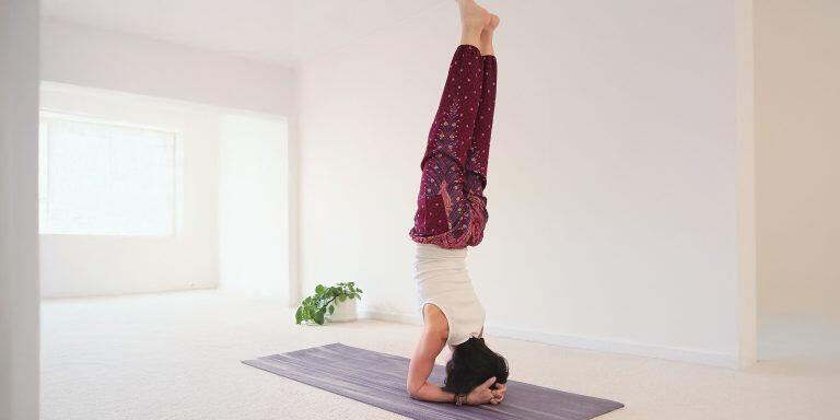 Yogalehrer Ausbildung YOGINATUR & YOGA VIDYA (BYV)