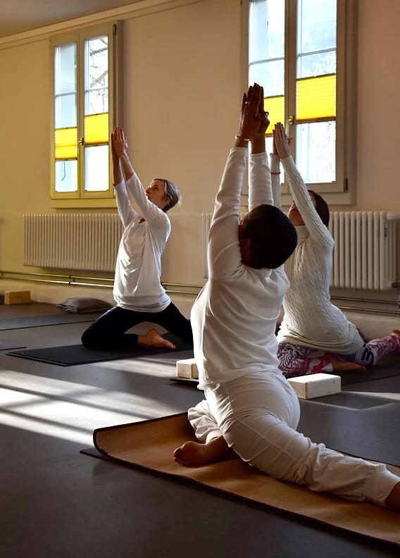 Natha Yoga Schweiz