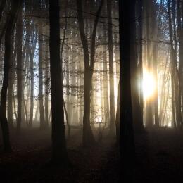 Stille der Rauhnächte